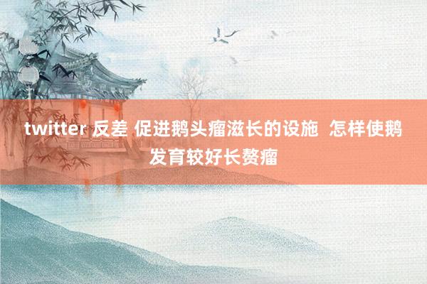 twitter 反差 促进鹅头瘤滋长的设施  怎样使鹅发育较好长赘瘤