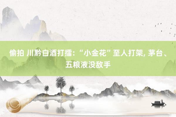 偷拍 川黔白酒打擂: “小金花”至人打架， 茅台、五粮液没敌手