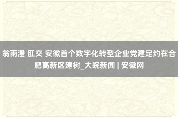 翁雨澄 肛交 安徽首个数字化转型企业党建定约在合肥高新区建树_大皖新闻 | 安徽网
