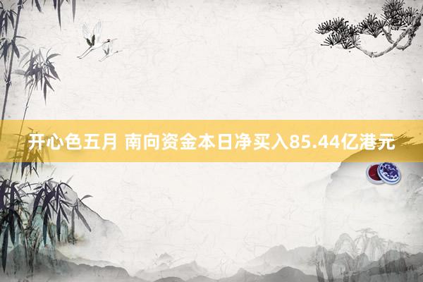 开心色五月 南向资金本日净买入85.44亿港元
