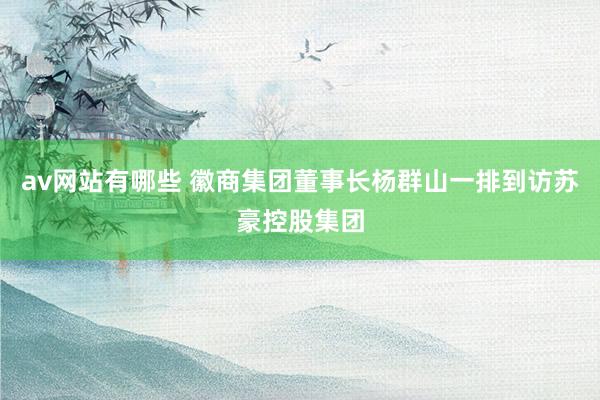 av网站有哪些 徽商集团董事长杨群山一排到访苏豪控股集团