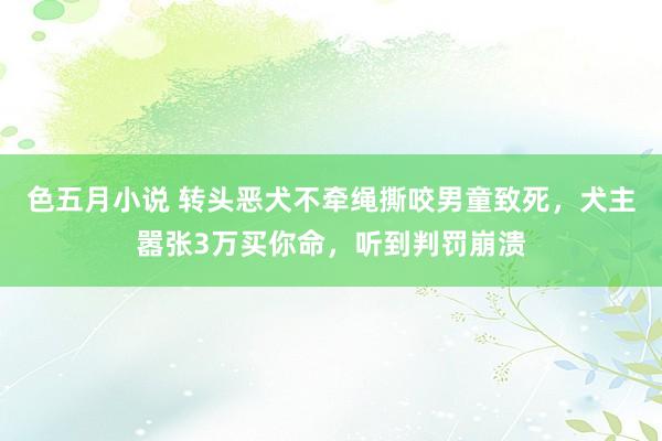 色五月小说 转头恶犬不牵绳撕咬男童致死，犬主嚣张3万买你命，听到判罚崩溃