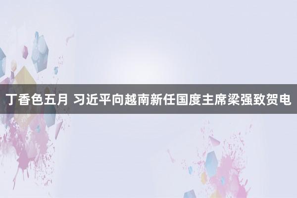 丁香色五月 习近平向越南新任国度主席梁强致贺电