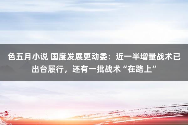 色五月小说 国度发展更动委：近一半增量战术已出台履行，还有一批战术“在路上”