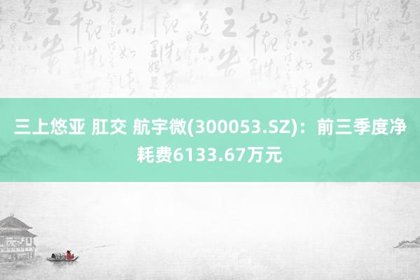 三上悠亚 肛交 航宇微(300053.SZ)：前三季度净耗费6133.67万元