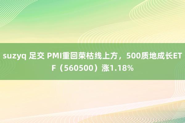 suzyq 足交 PMI重回荣枯线上方，500质地成长ETF（560500）涨1.18%