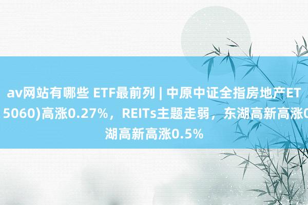 av网站有哪些 ETF最前列 | 中原中证全指房地产ETF(515060)高涨0.27%，REITs主题走弱，东湖高新高涨0.5%