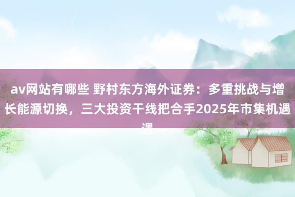 av网站有哪些 野村东方海外证券：多重挑战与增长能源切换，三大投资干线把合手2025年市集机遇