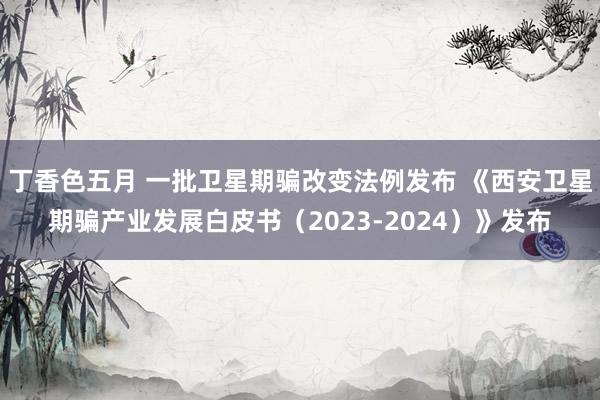 丁香色五月 一批卫星期骗改变法例发布 《西安卫星期骗产业发展白皮书（2023-2024）》发布