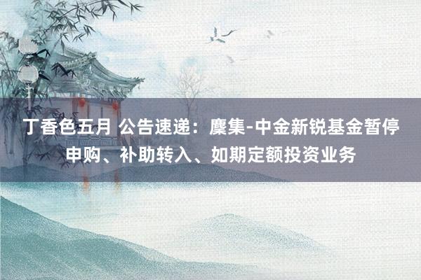 丁香色五月 公告速递：麇集-中金新锐基金暂停申购、补助转入、如期定额投资业务