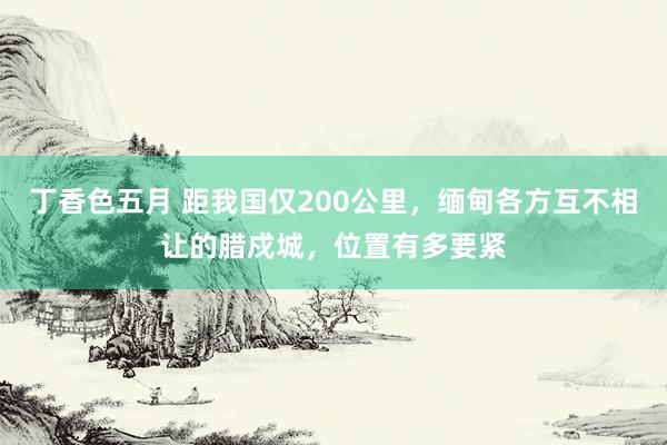 丁香色五月 距我国仅200公里，缅甸各方互不相让的腊戍城，位置有多要紧
