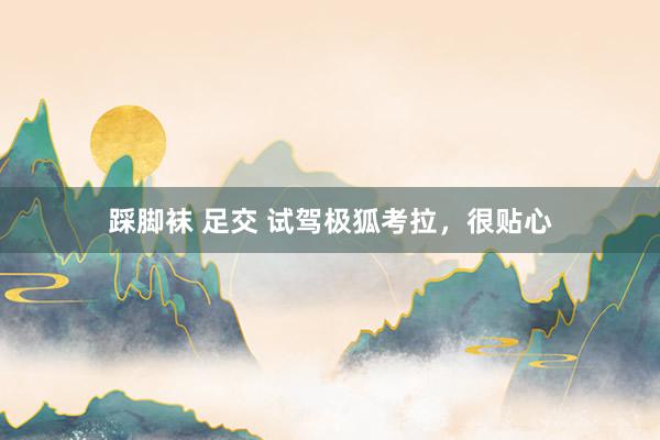 踩脚袜 足交 试驾极狐考拉，很贴心