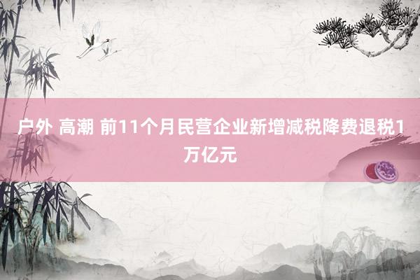 户外 高潮 前11个月民营企业新增减税降费退税1万亿元