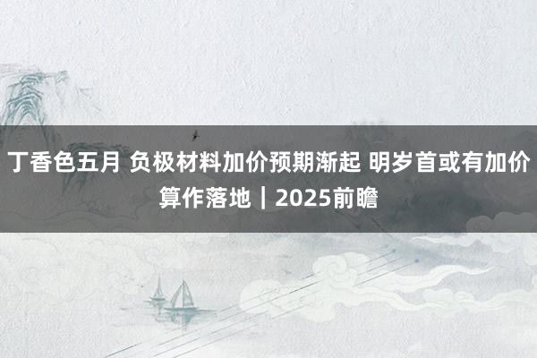 丁香色五月 负极材料加价预期渐起 明岁首或有加价算作落地｜2025前瞻