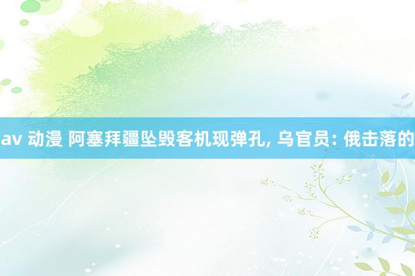 av 动漫 阿塞拜疆坠毁客机现弹孔， 乌官员: 俄击落的