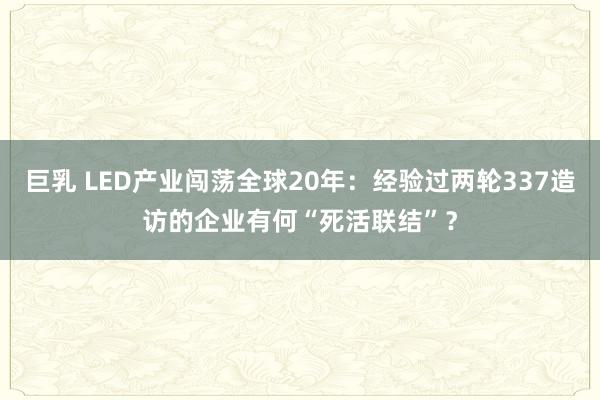 巨乳 LED产业闯荡全球20年：经验过两轮337造访的企业有何“死活联结”？