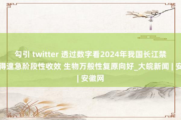 勾引 twitter 透过数字看2024年我国长江禁渔获得遑急阶段性收效 生物万般性复原向好_大皖新闻 | 安徽网