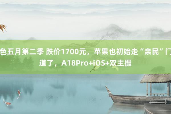 色五月第二季 跌价1700元，苹果也初始走“亲民”门道了，A18Pro+iOS+双主摄