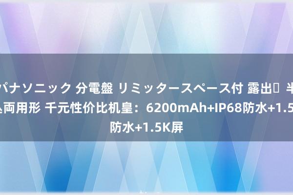 パナソニック 分電盤 リミッタースペース付 露出・半埋込両用形 千元性价比机皇：6200mAh+IP68防水+1.5K屏