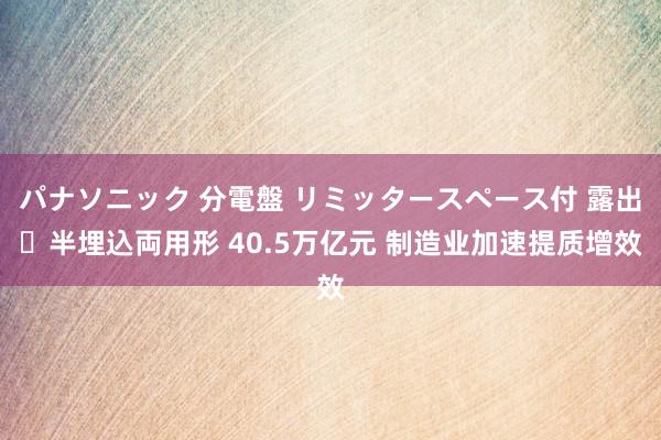 パナソニック 分電盤 リミッタースペース付 露出・半埋込両用形 40.5万亿元 制造业加速提质增效