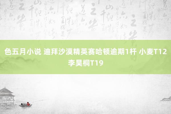 色五月小说 迪拜沙漠精英赛哈顿逾期1杆 小麦T12李昊桐T19
