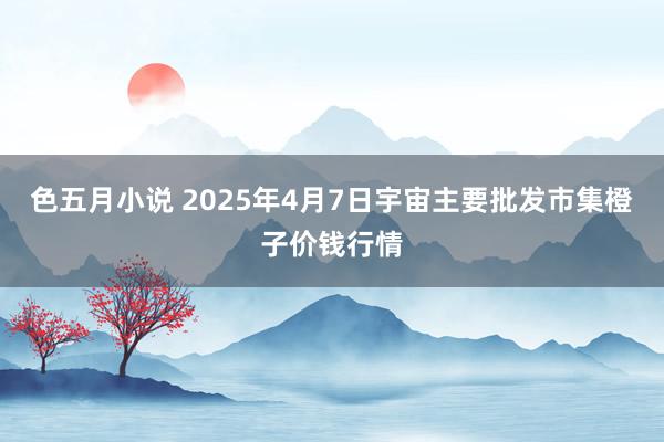 色五月小说 2025年4月7日宇宙主要批发市集橙子价钱行情