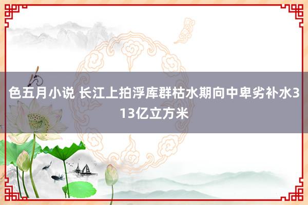 色五月小说 长江上拍浮库群枯水期向中卑劣补水313亿立方米
